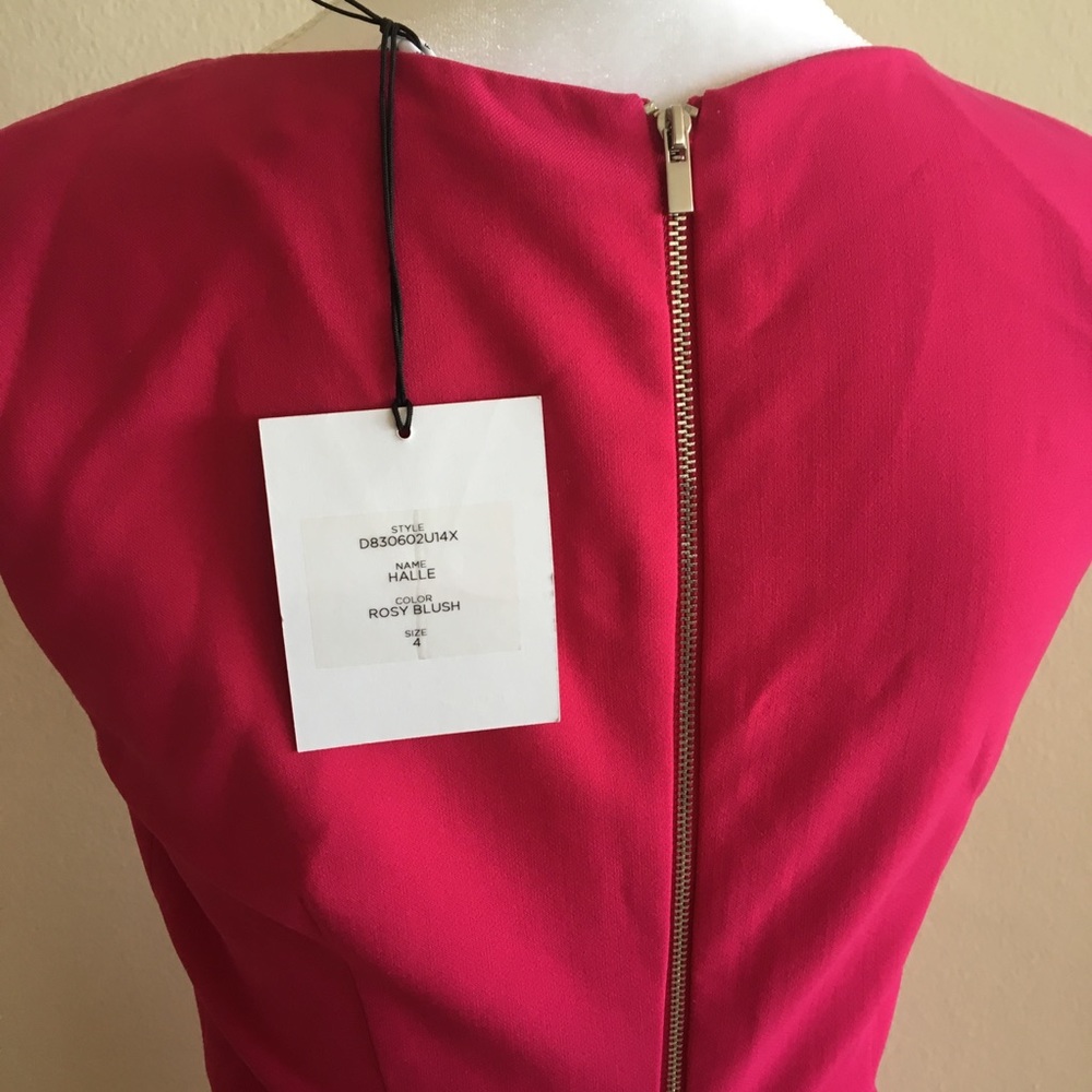 NWT Dian Von Furstenburg A-Line Rose Dress - Picture 4 of 8